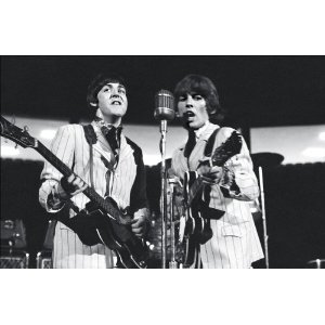 51j9IVBvL8L._SL500_AA300_