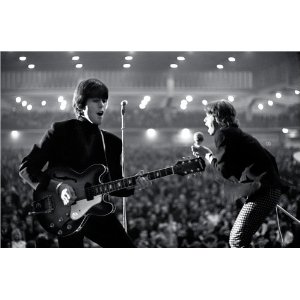 51zjyY5CgZL._SL500_AA300_