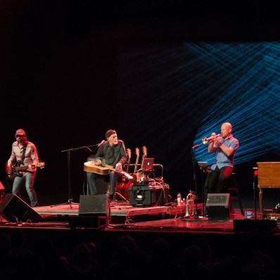 ©Denis ALIX_HARRY MANX-006